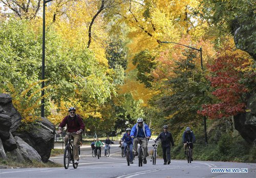 People ride bikes at the Central Park in New York, the United States, Nov. 4, 2016. As autumn comes, the colorful autumn leaves bring the park a beautiful scenery. (Xinhua/Wang Ying) 