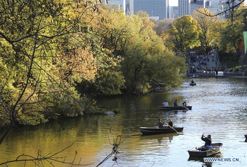 People paddle on boats in a lake at the Central Park in New York, the United States, Nov. 4, 2016. As autumn comes, the colorful autumn leaves bring the park a beautiful scenery. (Xinhua/Wang Ying) 