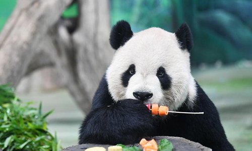 giant pandas food