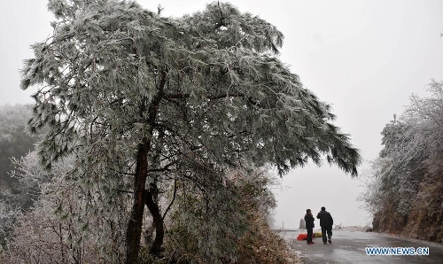 Visitors view the winter scenery on Mao'er Mountain in Guilin, south China's Guangxi Zhuang Autonomous Region, Jan. 7, 2013. (Xinhua/Lu Bo'an)  