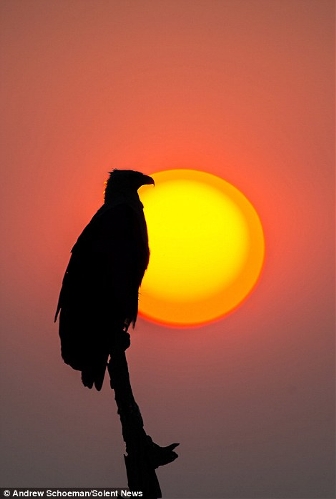 Photographer Andrew Schoeman, 40, captured this stunning collection of images across South Africa. (Photo Source: huanqiu.com)