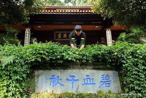 A girl places a flower at a cemetery to mourn for the soldiers sacrificed during the battle against Japan's invasion in Tengchong, Southwest China's Yunnan Province, August 15, 2012. Many visitors came to the cemetery for martyrs and museums to mark the 67th anniversary of Japan's World War II surrender. Tengchong was a frontline where Chinese people fought against Japan's invasion during the World War II. Photo: Xinhua