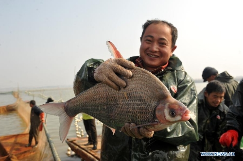 People fish on the Junshan Lake in Jinxian County, east China's Jiangxi Province, Jan. 10, 2013. The winter fish harvest of the lake began on Thursday and more than 60,000 kilograms of fish were caught on the first day. (Xinhua/Wan Chaohui)  