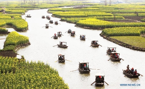 Tourists take boats to enjoy cole flowers at the Qiandao Cole Flower Scenic Spot in Ganggu Township of Xinghua City, east China's Jiangsu Province, April 3, 2013. (Xinhua/Zhou Haijun) 