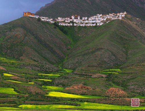 Sanjiangyuan National Nature Reserve, or the Three Rivers Nature Reserve, contains the headwaters of the Yellow River, the Yangtze River and the Mekong River. The reserve, established in 2000, is to protect the headwaters of the three rivers.　　Located in the hinterlands of the Qinghai-Tibet plateau in southern Qinghai with at an altitude of over 4,000 meters, the reserve covers an area of about 150,000 square kilometers (15 million hectares), larger than the total area of England and Wales of the UK. It is the largest and highest natural wetland in China.　　The reserve boasts for its beautiful scenery and rich resources including grasslands, mountains, rivers, snow mountains, wetlands and wild life. It is home to many precious animals such as Tibetan antelopes, Tibetan gazelles, wild yaks and wild asses. It has been described as 