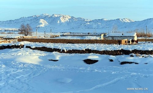 Photo taken on Jan. 8, 2013 shows the beautiful snow scenery of Qagan Gol Town in Qinghe County, northwest China's Xinjiang Uygur Autonomous Region. (Xinhua/Sadat)  