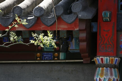 A leafy twig(Photo: CRIENGLISH.com/ Wang Zhi)A Hutong is a traditional alley, characteristic of an old Beijing city. A total of 7000 Hutongs have been built throughout the capital in straight lines under strict construction guildlines. The longest Hutong starts from the Beijing Legation Quarter, Dong Jiao Min Xiang,to the Xijiao Min Xiang, and has a total length of 6.5 kilometers, while the shortest Hutong is One-inch Street at only several meters' long. The narrowest Hutong is only about 0.7 meters wide. Therefore, people carrying even a little bit of extra weight have to hold their breath to pass through it. Formed during the Yuan, Ming and Qing, dynasties thousands of Hutongs surround the supreme Imperial Palace from all directions. They are woven into the fabric of people's daily lives.