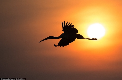 Photographer Andrew Schoeman, 40, captured this stunning collection of images across South Africa. (Photo Source: huanqiu.com)