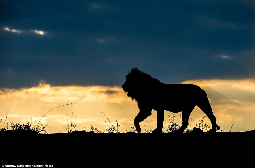 Photographer Andrew Schoeman, 40, captured this stunning collection of images across South Africa. (Photo Source: huanqiu.com)