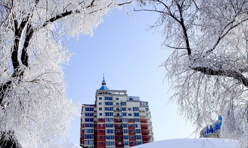 A building is seen between two trees which are glazed with rime at Riverside Park in Jilin City, northeast China's Jilin Province, December 5, 2012. Photo: Xinhua