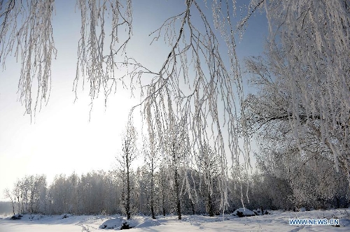 Photo taken on Jan. 10, 2013 shows rime scenery in Chonghu'er Township of Burqin County, northwest China's Xinjiang Uygur Autonomous Region. (Xinhua/Sadat)