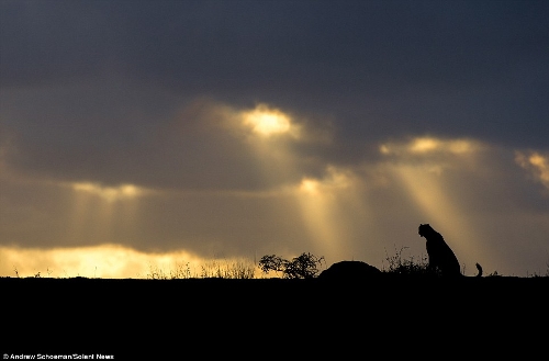 Photographer Andrew Schoeman, 40, captured this stunning collection of images across South Africa. (Photo Source: huanqiu.com)