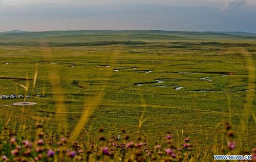 Photo taken on July 17, 2012 shows the Xilin Gol grassland in North China's Inner Mongolia Autonomous Region. Photo: Xinhua