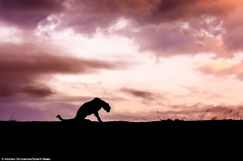 Photographer Andrew Schoeman, 40, captured this stunning collection of images across South Africa. (Photo Source: huanqiu.com)