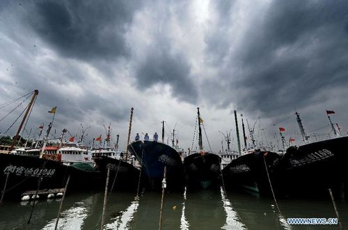 Photo taken on August 2, 2012 shows the Shacheng harbor under the cloudy sky in Fuding, East China's Fujian Province. Typhoon Saola is expected to land on the coast of Zhejiang and Fujian provinces Thursday night or Friday morning. The Fujian flood control headquarters launched a level two emergency response on Wednesday to cope with the typhoon. Photo: Xinhua