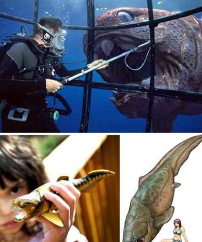 Top 4: Dunkleosteus. Source: people.com.cn