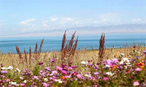 taken on Sept. 26, 2012 shows the autumn scenery of Qinghai Lake in northwest China's Qinghai Province. Photo: Xinhua