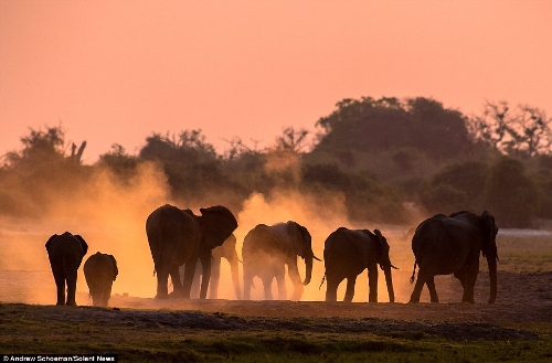 Photographer Andrew Schoeman, 40, captured this stunning collection of images across South Africa. (Photo Source: huanqiu.com)