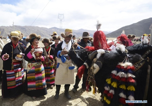 Farmers attend a ceremony marking the start of spring plowing in Xuecun Village of Gonggar County, Shannan Prefecture, southwest China's Tibet Autonomous Region, March 16, 2013. (Xinhua/Purbu Zhaxi)