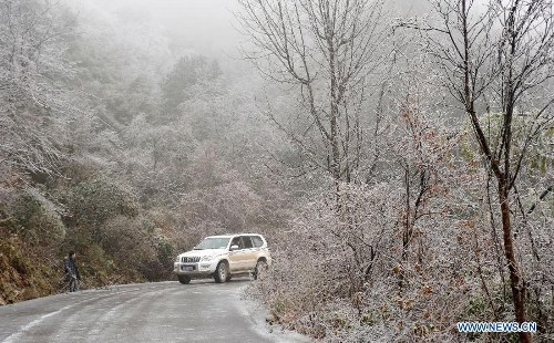 A vehicle moves among trees covered with icicles on Mao'er Mountain in Guilin, south China's Guangxi Zhuang Autonomous Region, Jan. 7, 2013. (Xinhua/Lu Bo'an)  