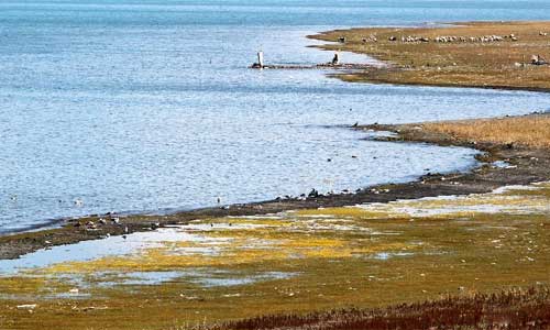 Photo taken on Sept. 26, 2012 shows the autumn scenery of Qinghai Lake in northwest China's Qinghai Province. The Qinghai Lake, the largest inland salt-water lake in China renowned for the ecological and natural reserve, attracted tourists from home and abroad. Photo: Xinhua