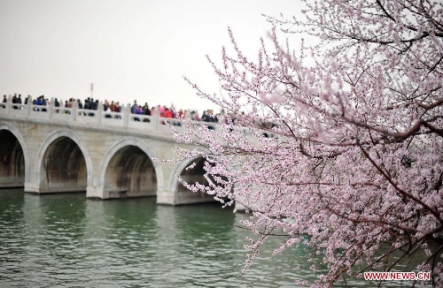 Peach flowers blossom near the Seventeen Arch Bridge in the Summer Palace in Beijing, capital of China, April 4, 2013. (Xinhua/Chen Yehua) 