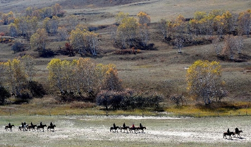 Autumn Scenery On Grassland In N China S Inner Mongolia Global Times