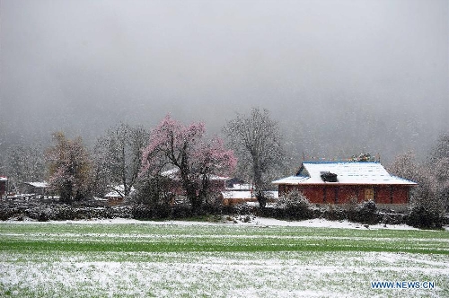 Photo taken on April 15, 2013 shows a snow-covered village in Nyingchi Prefecture, southwest China's Tibet Autonomous Region. (Xinhua/Wen Tao) 