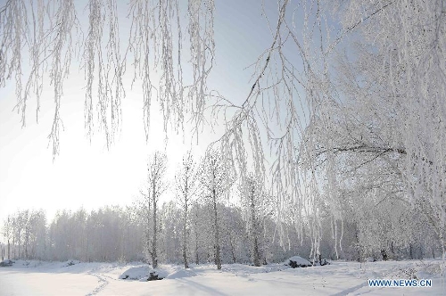 Photo taken on Jan. 10, 2013 shows rime scenery in Chonghu'er Township of Burqin County, northwest China's Xinjiang Uygur Autonomous Region. (Xinhua/Sadat)