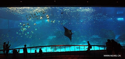  People visit the Resorts World Sentosa's S.E.A Aquarium in Singapore, April 9, 2013. The aquarium, is the official record holder of the two Guinness World Records - for the world's largest aquarium and for the world's largest acrylic panel in its Ocean Gallery, according to the announcement of the Resorts World Sentosa. (Xinhua/Then Chih Wey)