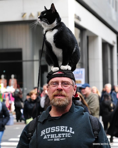 A man with a cat on his head takes part in the annual Easter Bonnet Parade held on the Fifth Avenue in Manhattan of New York, the United States, March 31, 2013. With a history of more than 100 years, the New York Easter Bonnet Parade is held annually on the 5th Avenue near the Saint Patrick's Cathedral. Adults, children and even pets in creative colorful bonnets and outfits participate in the event, which also attract thousands of New York residents and tourists. (Xinhua/Deng Jian) 