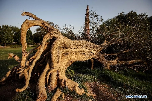 Photo taken on April 5, 2013 shows the Qutab Minar behind an ancient tree in New Delhi, India. Qutab Minar, a UNESCO World Heritage Site, is the tallest minaret in India. It is 75.56 metres high with a base a diameter of 14.3 metres, which narrows to 2.7 metres at the top storey. The minar is made of red sandstone and marble, and covered with intricate carvings. The construction of Qutab Minar started in 1193 by Qutub-ud-din Aibak and was completed by his inheritor Iltutmish. It is surrounded by several other ancient and medieval structures and ruins, collectively known as the Qutub complex, which attracts many visitors till now. (Xinhua/Zheng Huansong) 