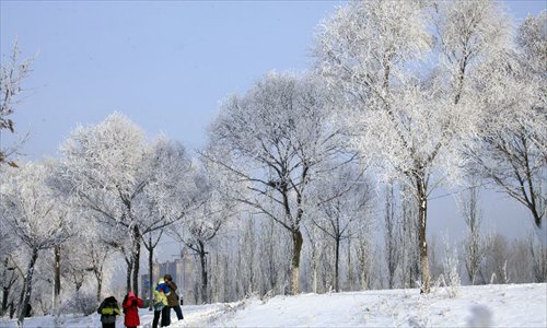 People take photos of the scenery of rime at Riverside Park in Jilin City, northeast China's Jilin Province, December 5, 2012. Photo: Xinhua