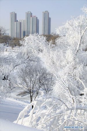 Photo taken on December 5, 2012 shows the scenery of rime at Riverside Park in Jilin City, northeast China's Jilin Province. Photo: Xinhua