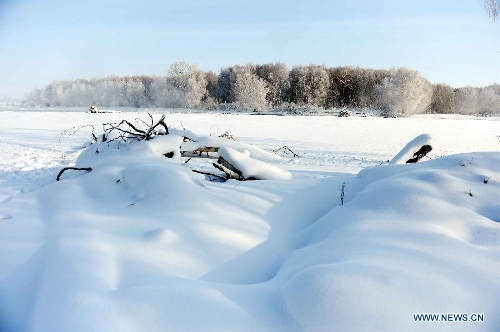 Photo taken on Jan. 10, 2013 shows rime scenery in Chonghu'er Township of Burqin County, northwest China's Xinjiang Uygur Autonomous Region. (Xinhua/Sadat)