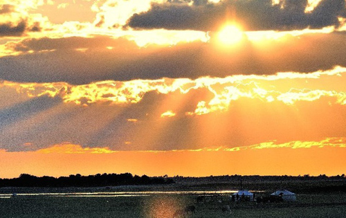 Photo taken on July 23, 2012 shows flocks of sheep at New Barag Left Banner Grassland, north China's Inner Mongolia Autonomous Region. With a beautiful scenery, New Barag Left Banner Grassland attracts a large amount of visitors in summer. Photo: Xinhua