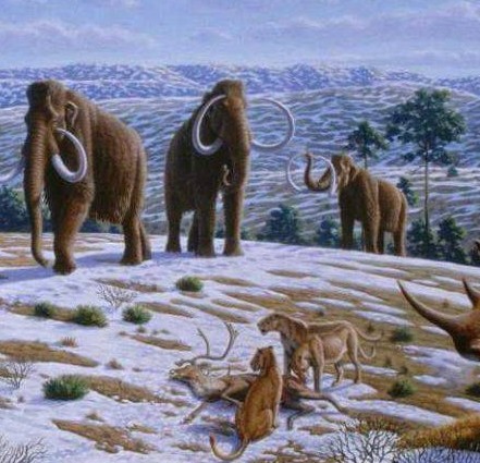 Mammuthus. Source: people.com.cn