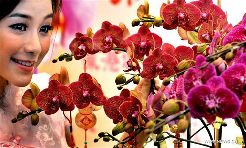 Lunar new year flower market to kick off in HK - Global Times