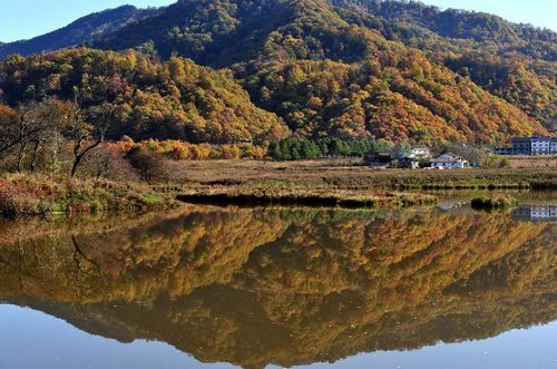 Photo taken on October 17, 2012 shows a view of the Dajiuhu National Wetland Park in Shennongjia in Central China's Hubei Province. The Dajiuhu wetlands, made up of nine lakes, is the largest wetlands in area with highest altitude in Central China. Photo: Xinhua