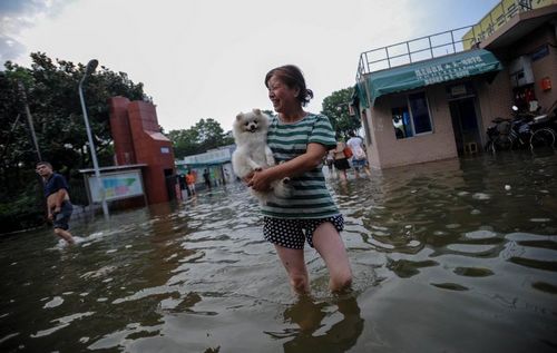 A citizen, with a dog in here arms, walks on a flooded road in Ningbo, East China's Zhejiang Province, August 9, 2012. As typhoon Haikui landed in Hepu Town of Zhejiang's Xiangshan County early Wednesday, many roads and residential areas were waterlogged after torrential rains in Ningbo. Photo: Xinhua