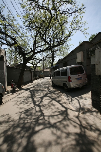 Beautiful shadows of the trees(Photo: CRIENGLISH.com/ Wang Zhi)A Hutong is a traditional alley, characteristic of an old Beijing city. A total of 7000 Hutongs have been built throughout the capital in straight lines under strict construction guildlines. The longest Hutong starts from the Beijing Legation Quarter, Dong Jiao Min Xiang,to the Xijiao Min Xiang, and has a total length of 6.5 kilometers, while the shortest Hutong is One-inch Street at only several meters' long. The narrowest Hutong is only about 0.7 meters wide. Therefore, people carrying even a little bit of extra weight have to hold their breath to pass through it. Formed during the Yuan, Ming and Qing, dynasties thousands of Hutongs surround the supreme Imperial Palace from all directions. They are woven into the fabric of people's daily lives.