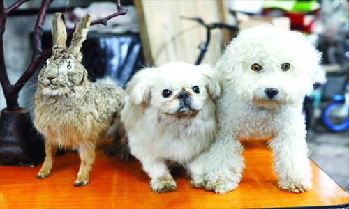 stuffed animal of deceased pet