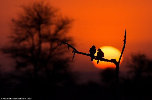 Photographer Andrew Schoeman, 40, captured this stunning collection of images across South Africa. (Photo Source: huanqiu.com)