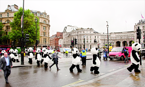 panda crossing