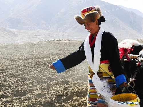 A farmer of the Tibetan ethnic group works in the fields at Weiba Village of Lhasa, capital of southwest China's Tibet Autonomous Region, March 16, 2013. A ceremony was held on Saturday to celebrate the starting of spring plowing in Tibet. (Xinhua/Liu Kun) 