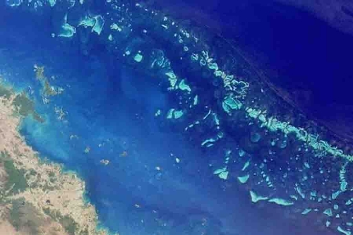 Great Barrier Reef(Photo source:gmw.cn)