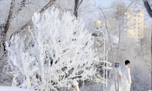 Newlyweds pose for wedding photos with the scenery of rime at Riverside Park in Jilin City, northeast China's Jilin Province, December 5, 2012. Photo: Xinhua