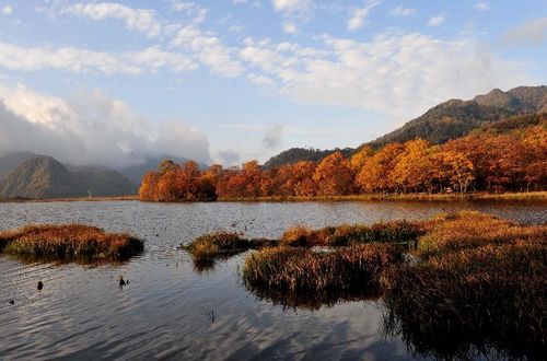 Photo taken on October 16, 2012 shows a view of the Dajiuhu National Wetland Park in Shennongjia in Central China's Hubei Province. The Dajiuhu wetlands, made up of nine lakes, is the largest wetlands in area with highest altitude in Central China. Photo: Xinhua