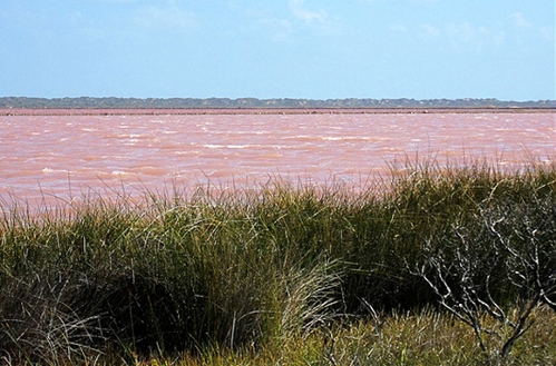 Hutt Lagoon, Australia. (Photo: huanqiu.com)