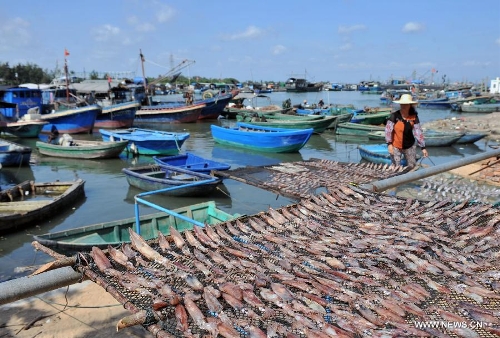 A woman has her last batch of fish dried before the annual fishing moratorium starts at Gangbei port in Wanning City, south China's Hainan Province, May 16, 2013. The annual fishing moratorium in Hainan lasts from May 16 to Aug. 1 each year. This year marks the 15th year of fishing moratorium here, and in total 9,007 fishing boats as well as 34,780 fisherfolks are involved. (Xinhua/Shi Manke) 